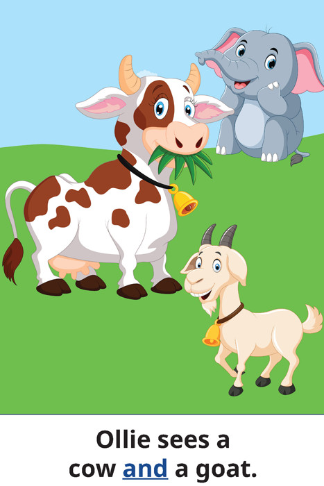 Ollie sees a cow and a goat.