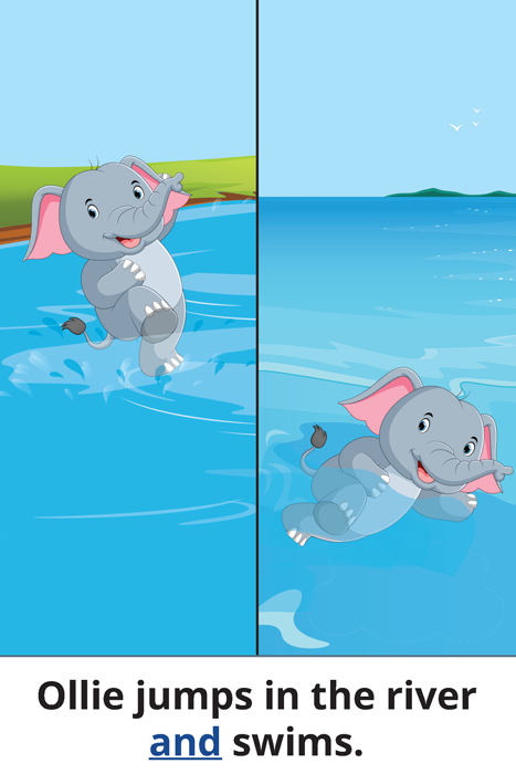 Ollie jumps in the river and swims.
