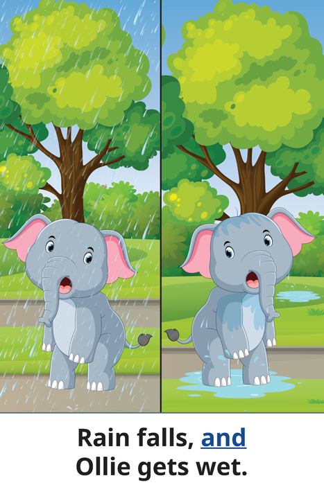 Rain falls, and Ollie gets wet.