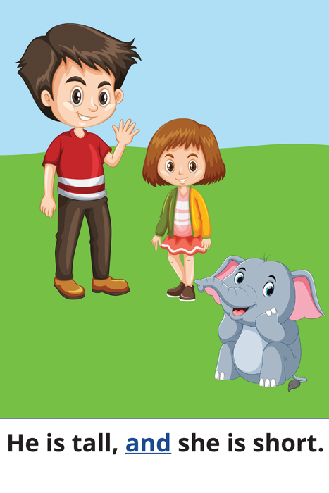 He is tall, and she is short.